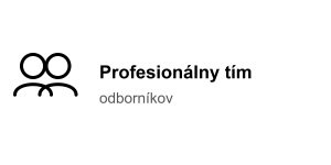 profesionalny_tim